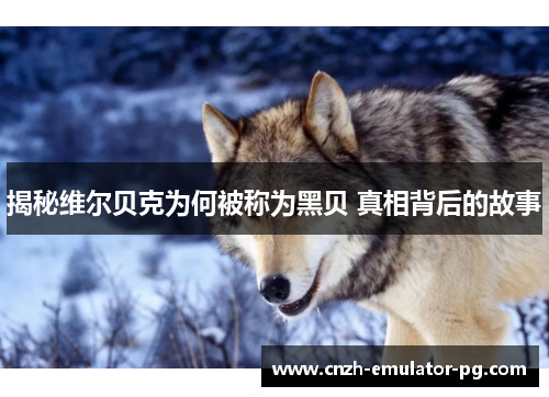 揭秘维尔贝克为何被称为黑贝 真相背后的故事