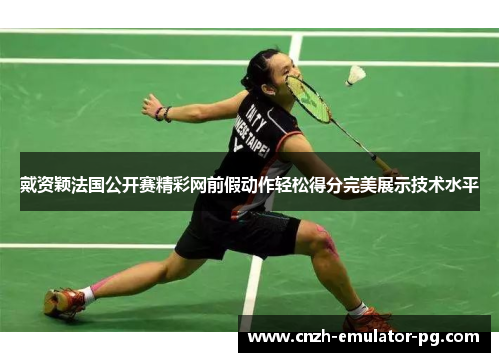 戴资颖法国公开赛精彩网前假动作轻松得分完美展示技术水平