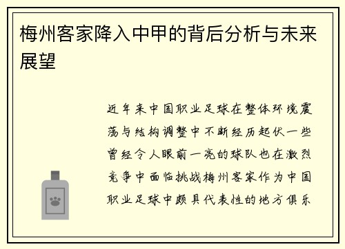 梅州客家降入中甲的背后分析与未来展望